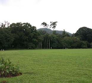 Botanischer Garten Kandy