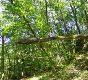 Im Ehrbachtal