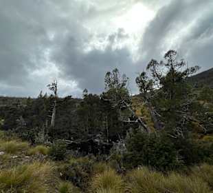 Cradle Mountain National Park