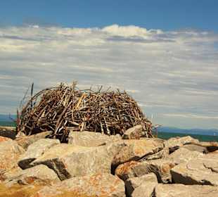 Hüttenbau auf dem Wellenbrechern