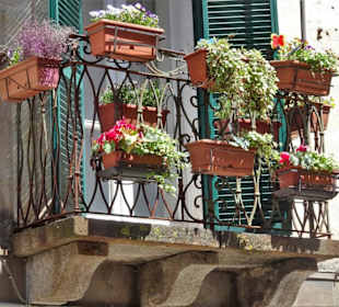 Rundgang durch die Altstadt von Tempio Pausania