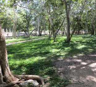 Spaziergang auf dem Ruinengelände