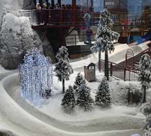 Stadtrundfahrt Dubai