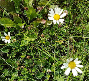 Wandern Schmallenberg