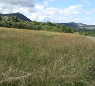 Hochgehnießen - Premiumspazierwanderweg