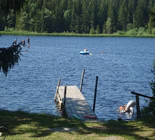 Stierhüblteich, ein Moorsee auf ca.1000M Seehöhe