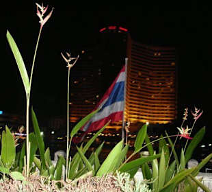 Aussicht auf den Fluß