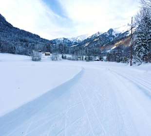 Mellau