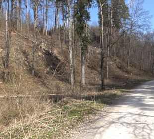 Geologischer Lehrpfad Kirnbachtal