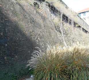 Stadtmauer an der Porta Romana