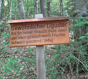 Waldlehrpfad in Tieringen