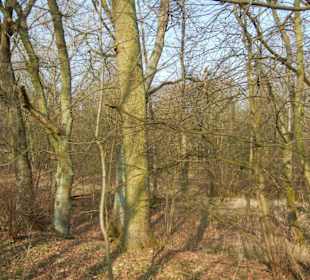 Wunderschöne Boberger Niederung