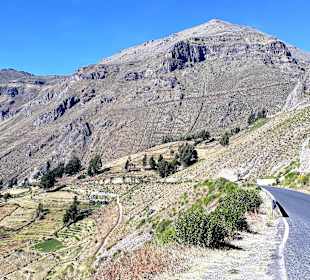 Colca-Canyon