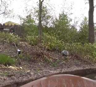 Land der Abenteuer - Dschungel X-pedition