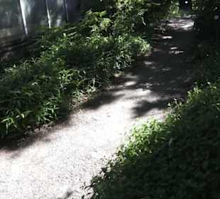 Botanischer Garten