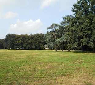 Im Garten von Haus Doorn