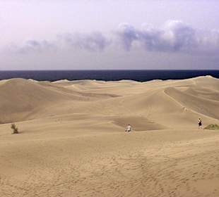 Dünen vor Playa del Ingles