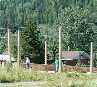 Holzbearbeitung in Kispiox Village