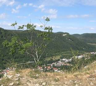 Locherstein Traifelberg