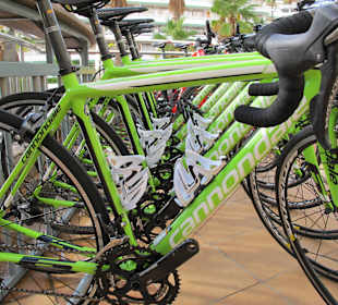 Rennrad Mietbikes 
