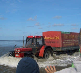 Alles kam uns entgegen