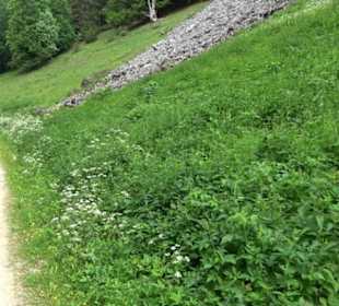 Premiumwanderweg "hochgehackert"