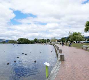 Lake Rotorua