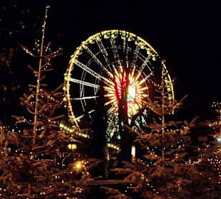 Im Dunkeln ein Highlight