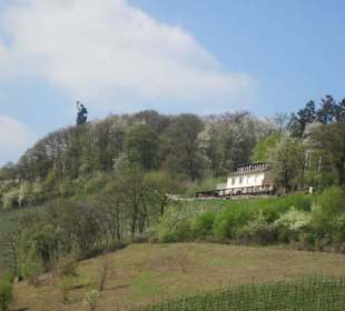 Am Denkmal am Niederwald
