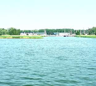Apollo Tagestour zur Greifswalder Oie 