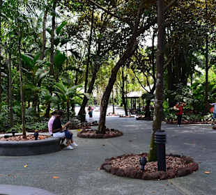 Botanischer Garten Singapur