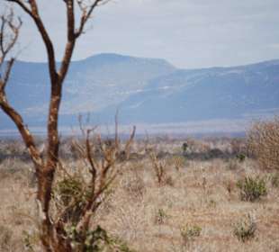 Landschaft im Nationalpark