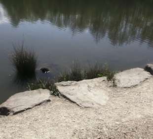 Sport- und Freizeitpark Markwasen