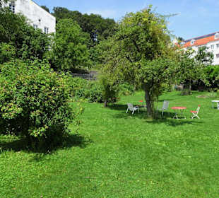 Impressionen aus dem Trostberger Rosengarten