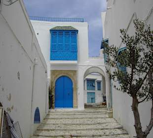 Alles in Blau und Weiss