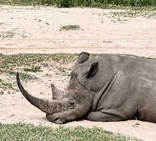 Zorgfontein Game Ranch