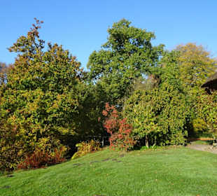 Herbstspaziergang durch den Schlosspark Lütetsburg