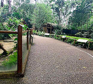 Singapur Zoo
