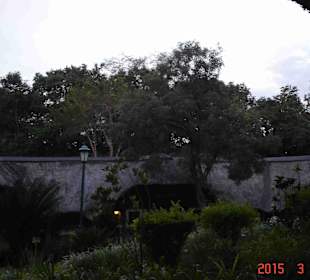 Krüger Nationalpark