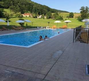 Pool im Baumhotel