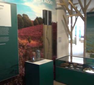 Niedersächsisches Landesmuseum