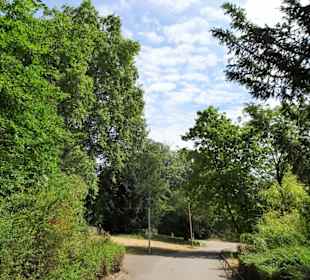 Rundgang durch den Hofgarten Düsseldorf