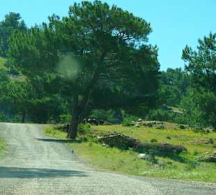 Green Canyon vom Staudamm nach Side