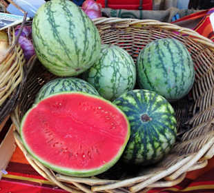 Eindrücke vom Marché Cassanyes