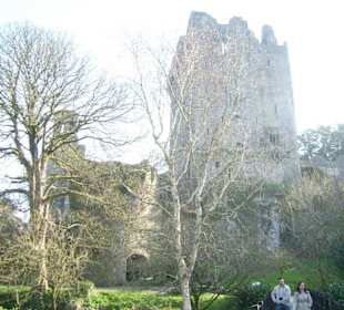 Blarney Castle