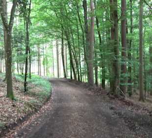 Wanderweg - Alter Steinbruch Pfaffenberg Runde