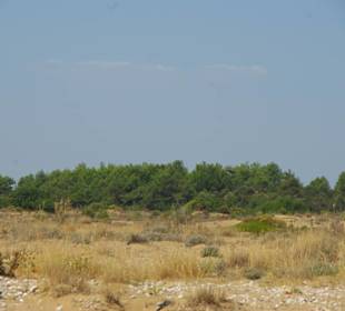 Hier fühlt man sich wohl