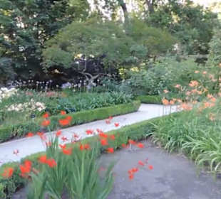 Real Jardín Botánico de Madrid