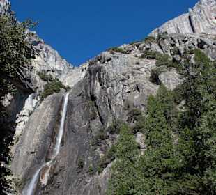 Yosemite National Park