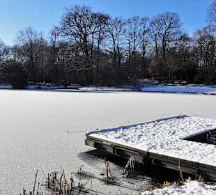 Winterspaziergang durch den Bürgerpark